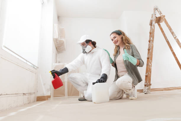 Best Asbestos and Lead Testing During Mold Inspection  in Jasper, AL